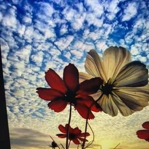 Meet your Posher, Susanne